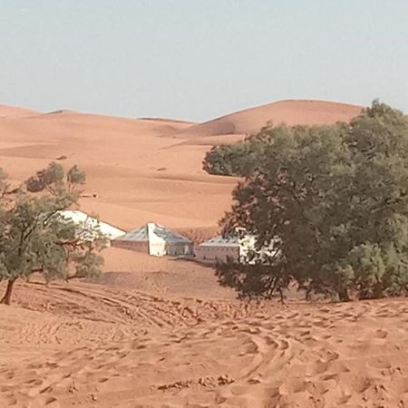 Hotel Bivouac Camel Trips à Merzouga Extérieur photo