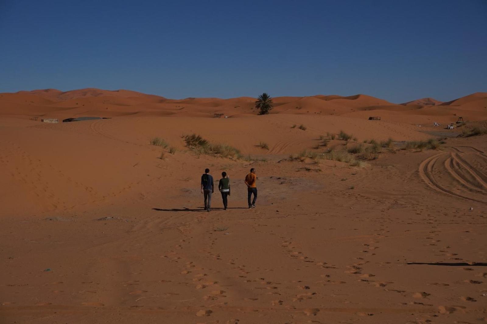 Hotel Bivouac Camel Trips à Merzouga Extérieur photo