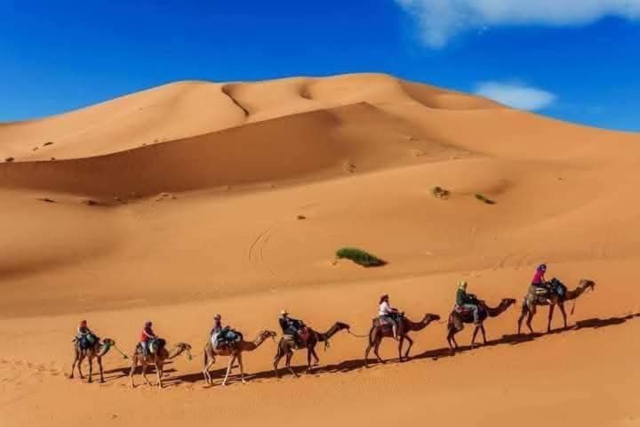 Hotel Bivouac Camel Trips à Merzouga Extérieur photo