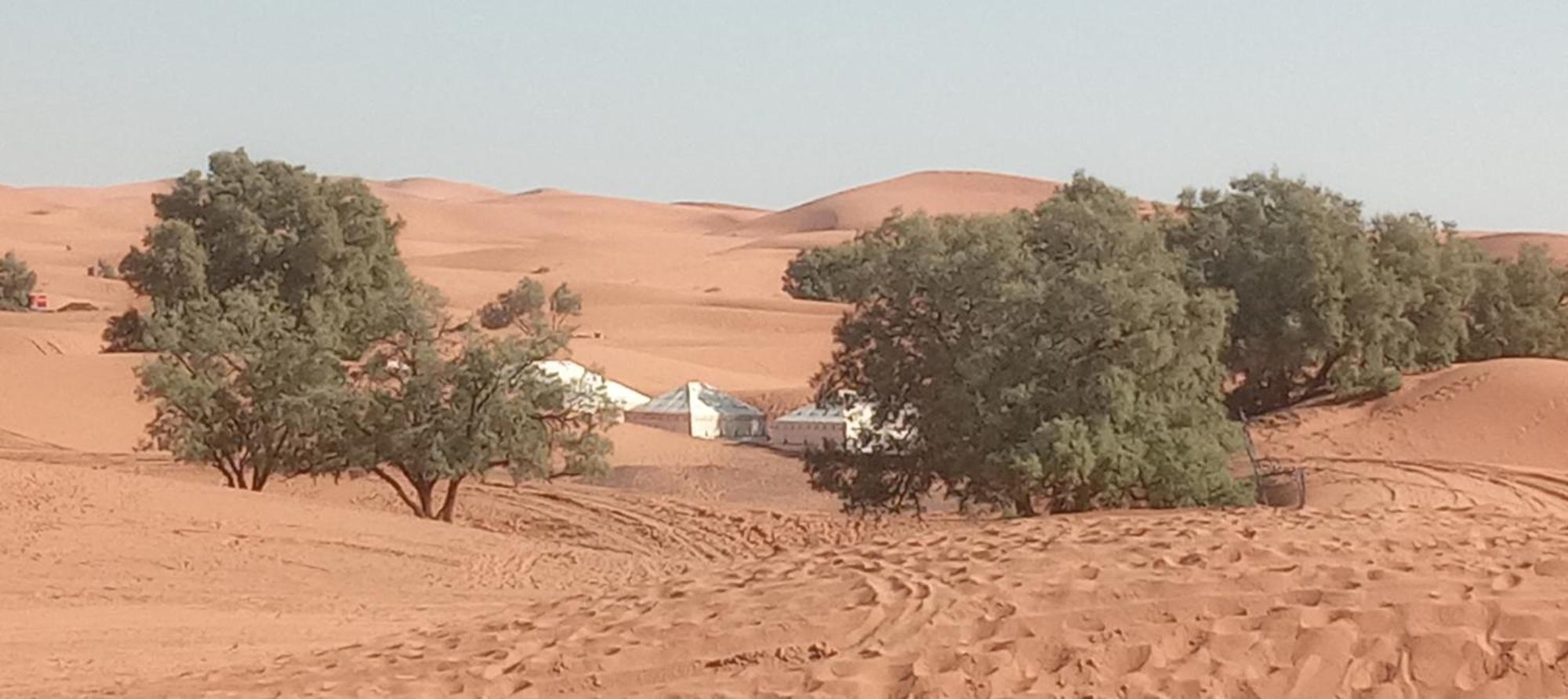 Hotel Bivouac Camel Trips à Merzouga Extérieur photo