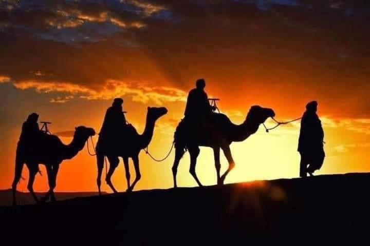 Hotel Bivouac Camel Trips à Merzouga Extérieur photo