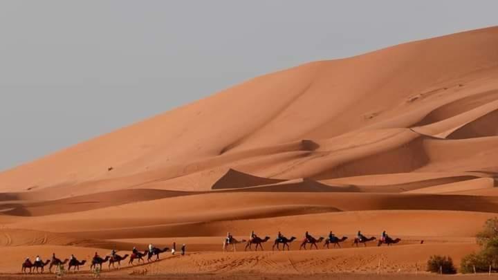 Hotel Bivouac Camel Trips à Merzouga Extérieur photo