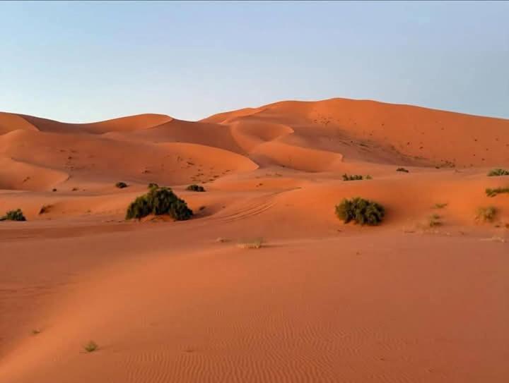 Hotel Bivouac Camel Trips à Merzouga Extérieur photo