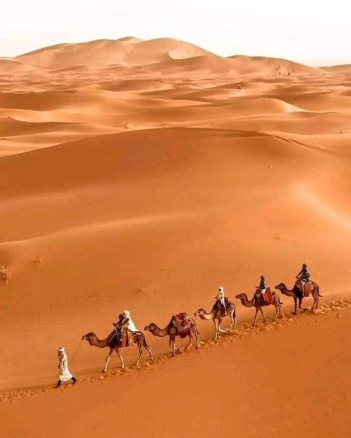 Hotel Bivouac Camel Trips à Merzouga Extérieur photo