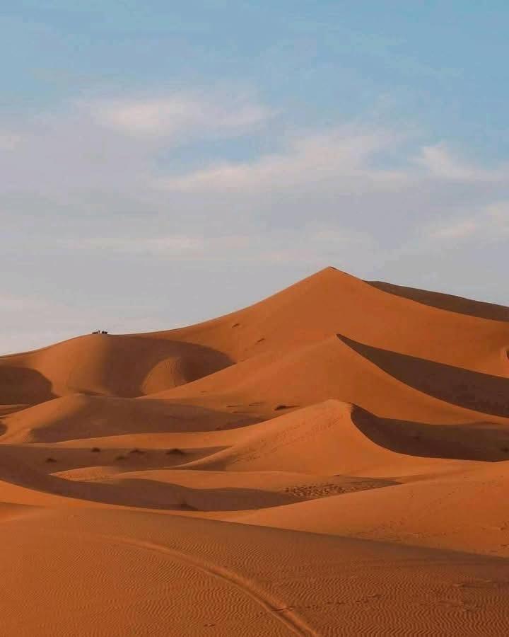 Hotel Bivouac Camel Trips à Merzouga Extérieur photo
