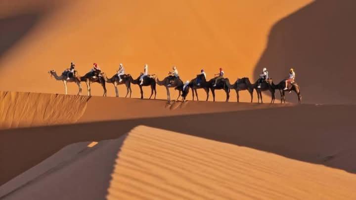 Hotel Bivouac Camel Trips à Merzouga Extérieur photo