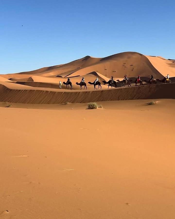 Hotel Bivouac Camel Trips à Merzouga Extérieur photo